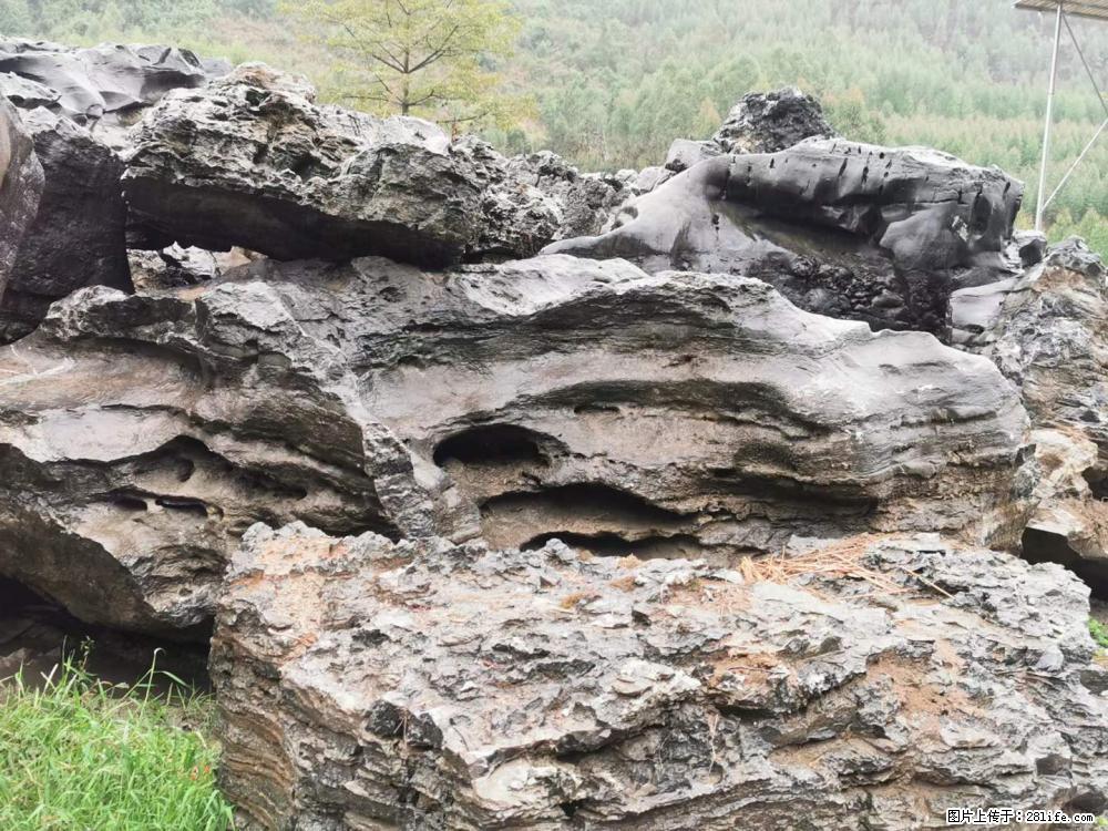 风景石、假山石大量有货,有需要的欢迎联系 - 新手上路 - 六盘水生活社区 - 六盘水28生活网 lps.28life.net