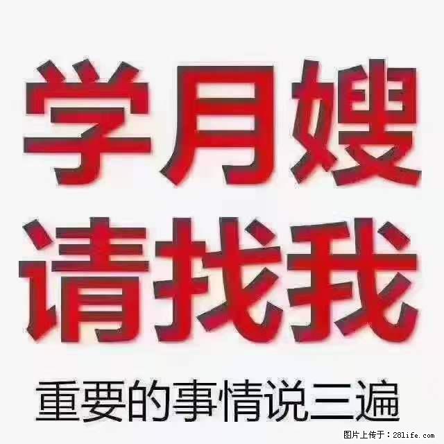 为什么要学习月嫂，育婴师？ - 其他广告 - 广告专区 - 六盘水分类信息 - 六盘水28生活网 lps.28life.net