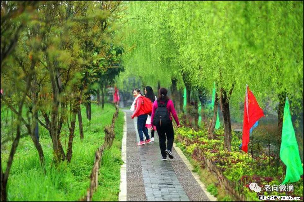 【春天，广西桂林灌阳县向您发出邀请！】江口老街又逢春 - 游山玩水 - 六盘水生活社区 - 六盘水28生活网 lps.28life.net