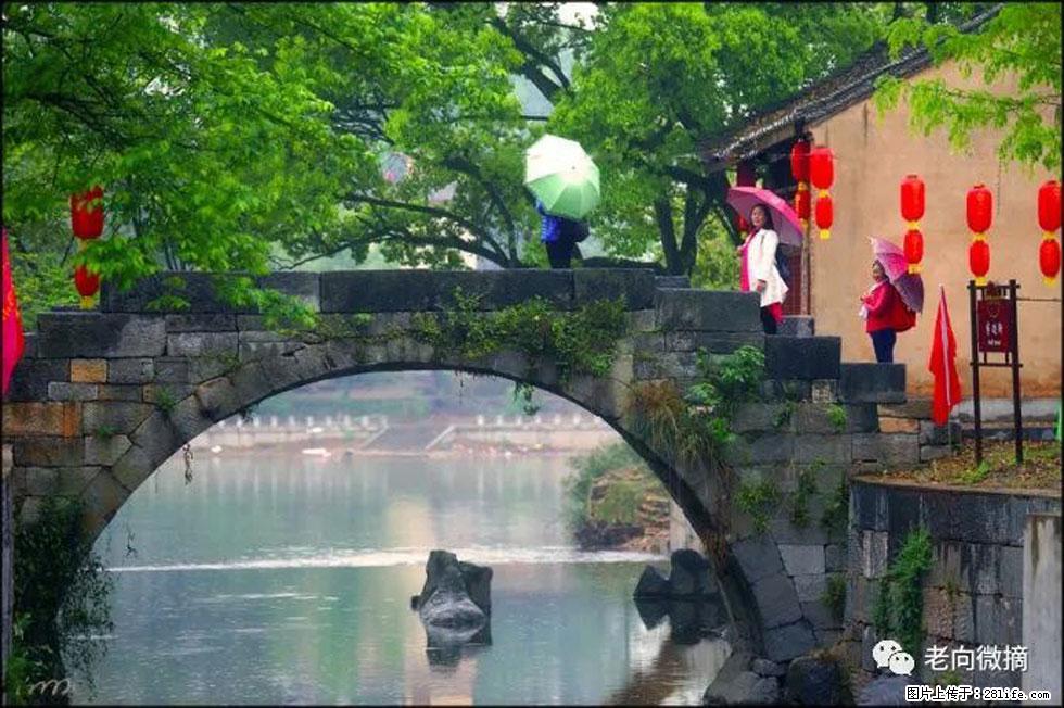 【春天，广西桂林灌阳县向您发出邀请！】江口老街又逢春 - 游山玩水 - 六盘水生活社区 - 六盘水28生活网 lps.28life.net
