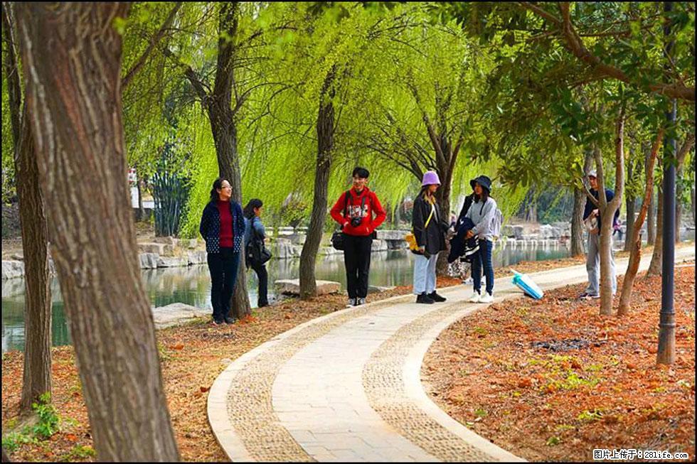 【春天，广西桂林灌阳县向您发出邀请！】江口老街又逢春 - 游山玩水 - 六盘水生活社区 - 六盘水28生活网 lps.28life.net