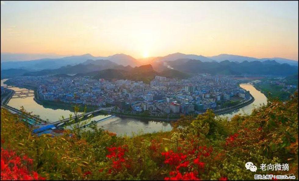 【春天，广西桂林灌阳县向您发出邀请！】登麒麟山，相约映山红 - 游山玩水 - 六盘水生活社区 - 六盘水28生活网 lps.28life.net