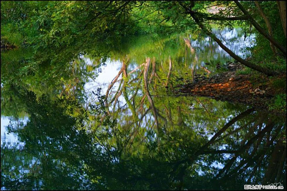 【春天，广西桂林灌阳县向您发出邀请！】熊家寨湿地公园 - 游山玩水 - 六盘水生活社区 - 六盘水28生活网 lps.28life.net