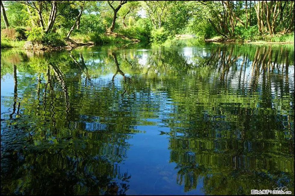 【春天，广西桂林灌阳县向您发出邀请！】熊家寨湿地公园 - 游山玩水 - 六盘水生活社区 - 六盘水28生活网 lps.28life.net