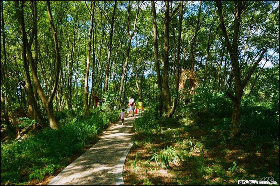【春天，广西桂林灌阳县向您发出邀请！】熊家寨湿地公园 - 游山玩水 - 六盘水生活社区 - 六盘水28生活网 lps.28life.net