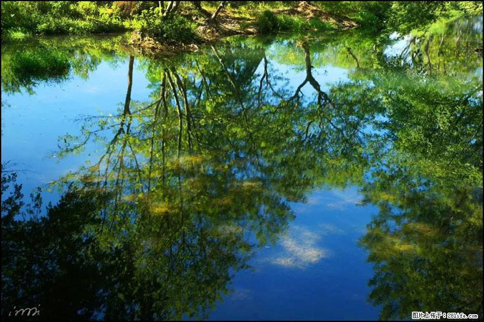 【春天，广西桂林灌阳县向您发出邀请！】熊家寨湿地公园 - 游山玩水 - 六盘水生活社区 - 六盘水28生活网 lps.28life.net