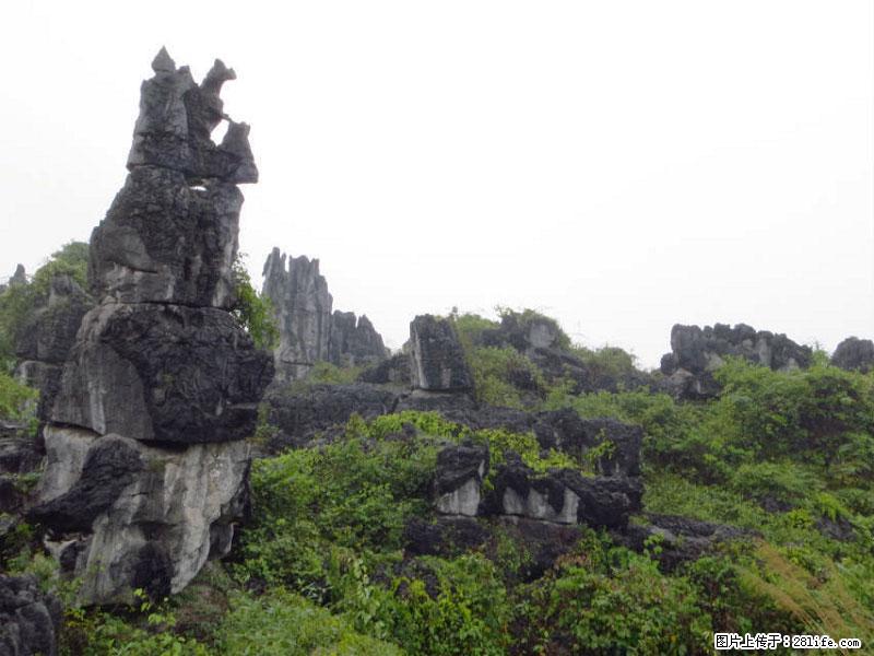 桂林旅游名城景点：灌阳文市石林 - 游山玩水 - 六盘水生活社区 - 六盘水28生活网 lps.28life.net