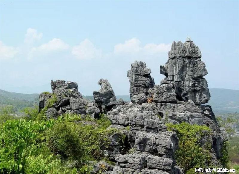 桂林旅游名城景点：灌阳文市石林 - 游山玩水 - 六盘水生活社区 - 六盘水28生活网 lps.28life.net