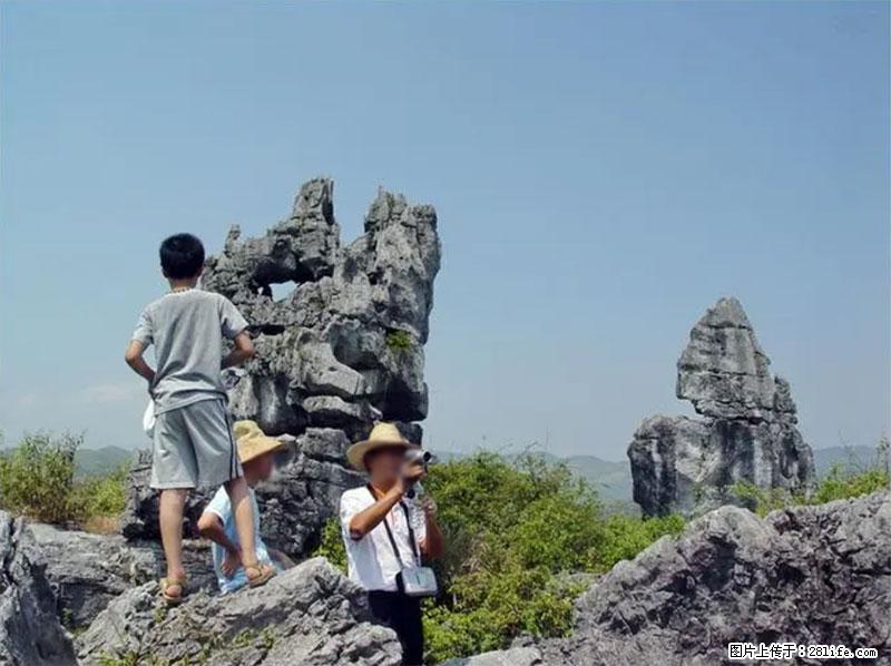 桂林旅游名城景点：灌阳文市石林 - 游山玩水 - 六盘水生活社区 - 六盘水28生活网 lps.28life.net