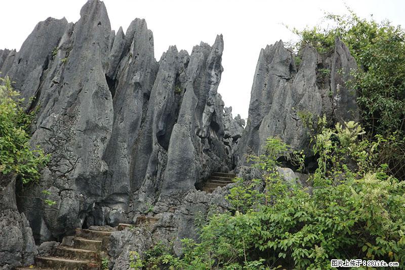 桂林旅游名城景点：灌阳文市石林 - 游山玩水 - 六盘水生活社区 - 六盘水28生活网 lps.28life.net