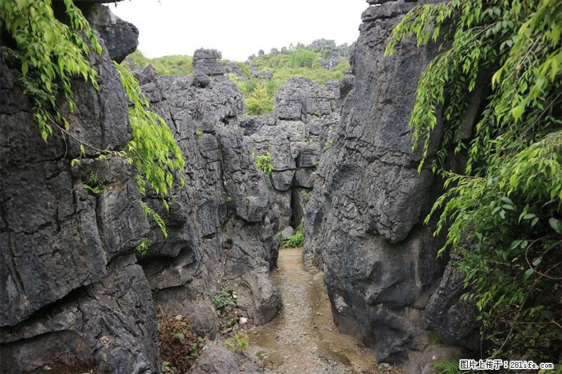 桂林旅游名城景点：灌阳文市石林 - 游山玩水 - 六盘水生活社区 - 六盘水28生活网 lps.28life.net