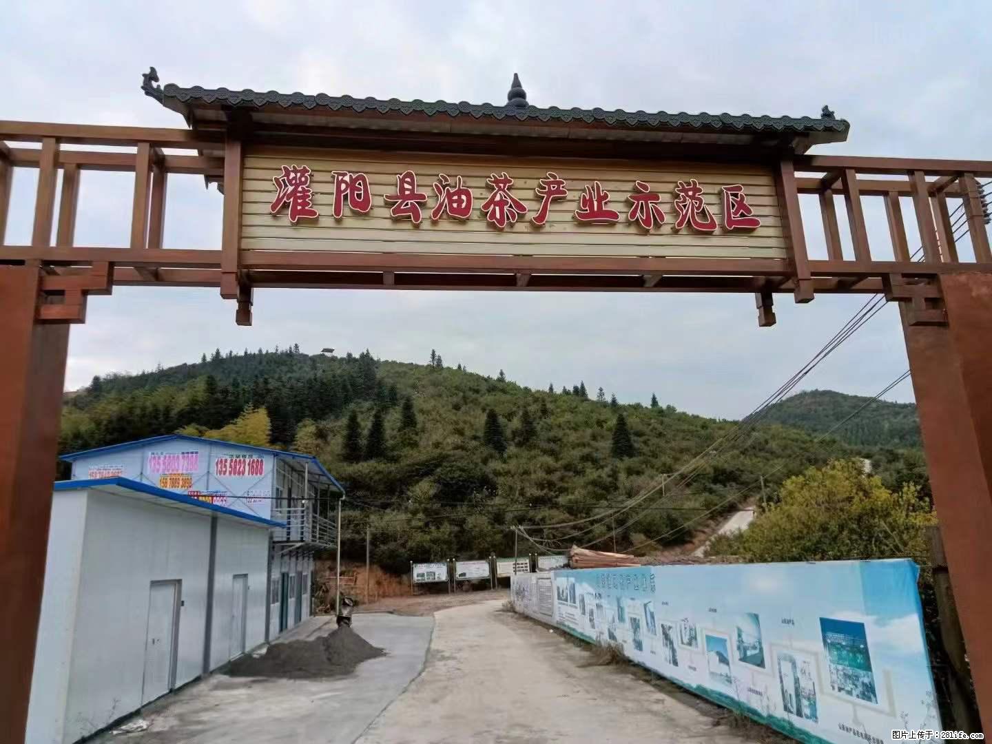 【灌阳县油茶产业示范区】一个有着充实的精神生活的人，对待身外之物自会有一种淡泊的态度 - 美食天地 - 六盘水生活社区 - 六盘水28生活网 lps.28life.net