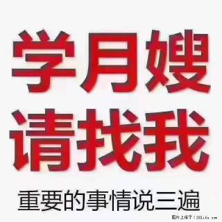 为什么要学习月嫂，育婴师？ - 六盘水28生活网 lps.28life.net
