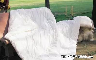被子有异味？只要这样做，比晒太阳还强100倍！ - 家居生活 - 六盘水生活社区 - 六盘水28生活网 lps.28life.net
