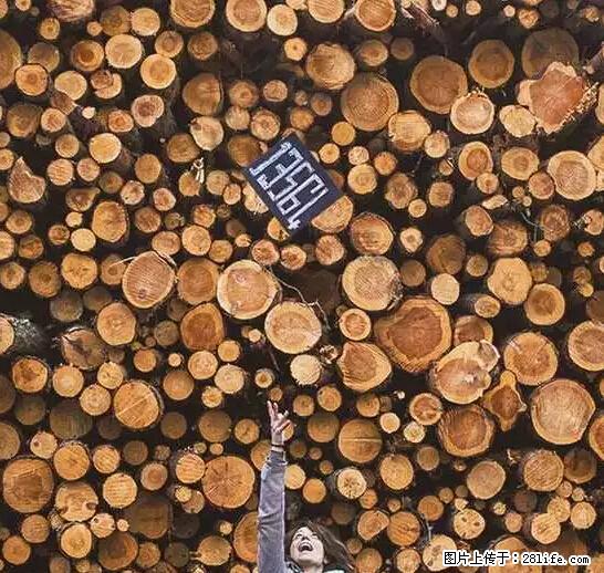 辞掉工作周游世界？现在他们在洗厕所…… - 游山玩水 - 六盘水生活社区 - 六盘水28生活网 lps.28life.net