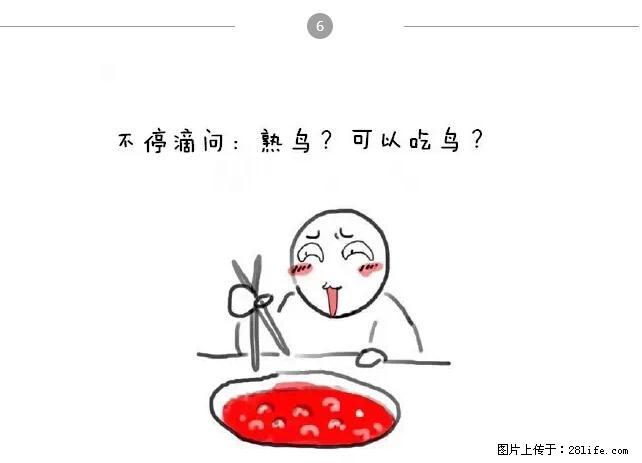 千万不要和这9种哈卵一起吃火锅！ - 美食天地 - 六盘水生活社区 - 六盘水28生活网 lps.28life.net