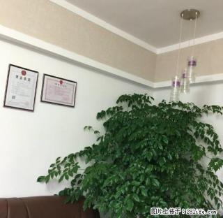 黄土坡百盛旁学期房出租，生活交通便利，没有诚意的勿扰 - 六盘水28生活网 lps.28life.net