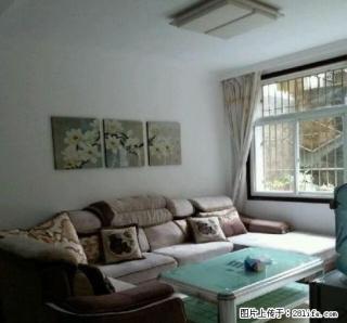 桃花公园住房出租。。 - 六盘水28生活网 lps.28life.net
