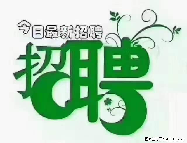 【招聘摄像师】待遇：试用期6000元/月，转正7000元/月+五险一金+餐补+节日福利+奖金 - 职场交流 - 六盘水生活社区 - 六盘水28生活网 lps.28life.net