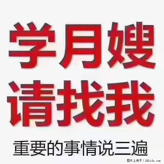 【招聘】月嫂，上海徐汇区 - 职场交流 - 六盘水生活社区 - 六盘水28生活网 lps.28life.net