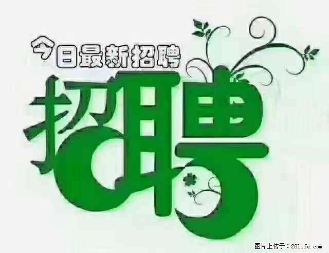 上海隔离酒店招人：55岁以下 男女不限 - 职场交流 - 六盘水生活社区 - 六盘水28生活网 lps.28life.net
