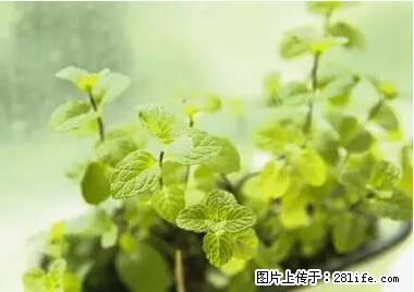 晕车、脚气、牙齿变黄、皮肤粗糙？学会这些三分钟搞定！ - 六盘水生活资讯 - 六盘水28生活网 lps.28life.net