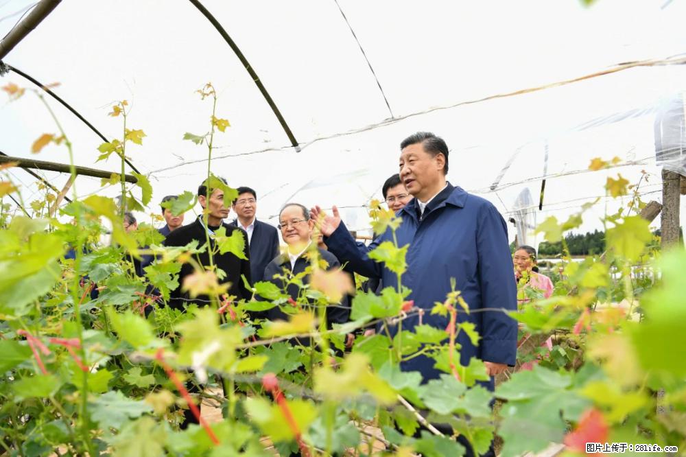 习近平赴广西考察调研 - 六盘水生活资讯 - 六盘水28生活网 lps.28life.net