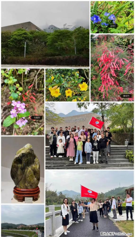 “粤灌文化 美好生活”油茶文化主题活动在广东深圳成功举办 - 六盘水生活资讯 - 六盘水28生活网 lps.28life.net