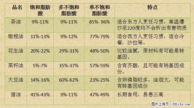 揭秘茶油的5大核心营养成分！被称为人体健康的“守护盾”！ - 六盘水生活资讯 - 六盘水28生活网 lps.28life.net