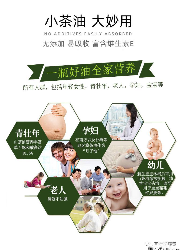 世界没有真相，只有认知，最好的食用油是中国的山茶油！ - 六盘水生活资讯 - 六盘水28生活网 lps.28life.net