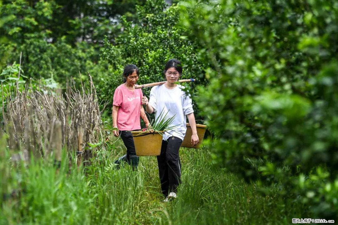全网追的“扁担女孩”，找了一份暑假工，时薪12元 - 六盘水生活资讯 - 六盘水28生活网 lps.28life.net