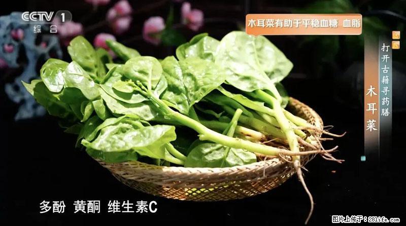 比牛奶补钙还厉害！凉血解毒、稳血糖...这菜冬天必吃，很多人却当草 - 六盘水生活资讯 - 六盘水28生活网 lps.28life.net