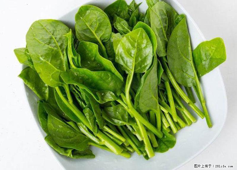 这些蔬菜是“天然钙片”,这6种被医生重点推荐 - 六盘水生活资讯 - 六盘水28生活网 lps.28life.net